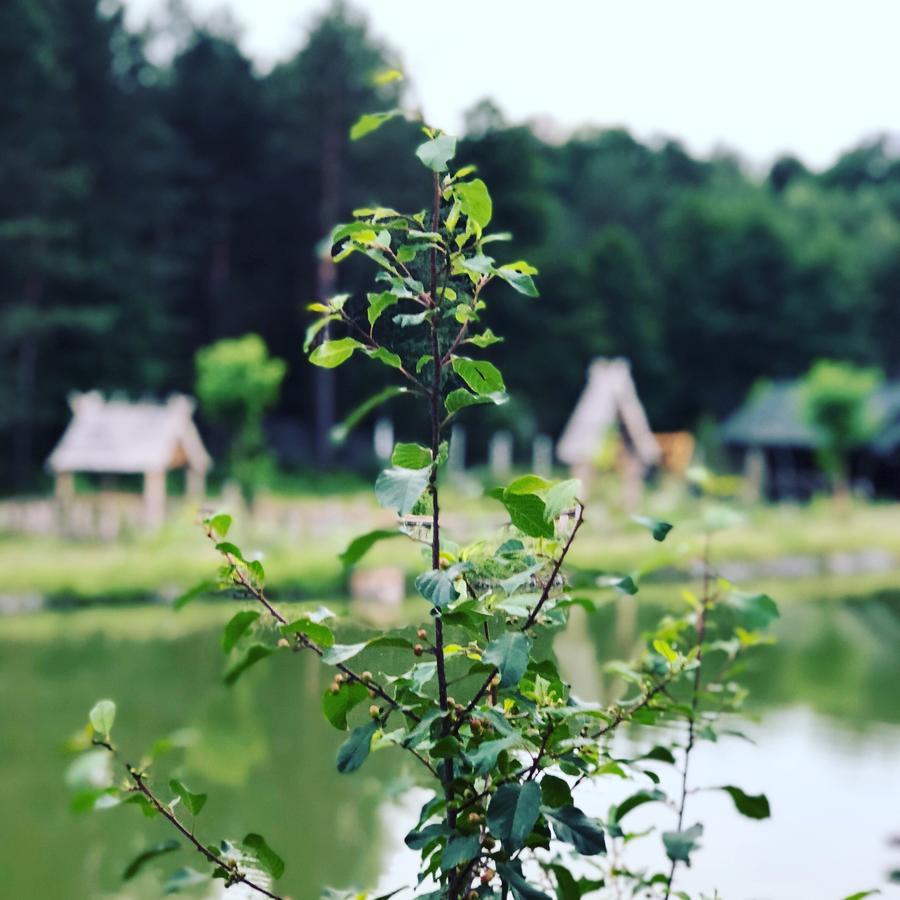 Gostynna Sadyba Kit Bayun Teterivka ภายนอก รูปภาพ